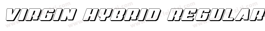 Virgin Hybrid Regular字体转换